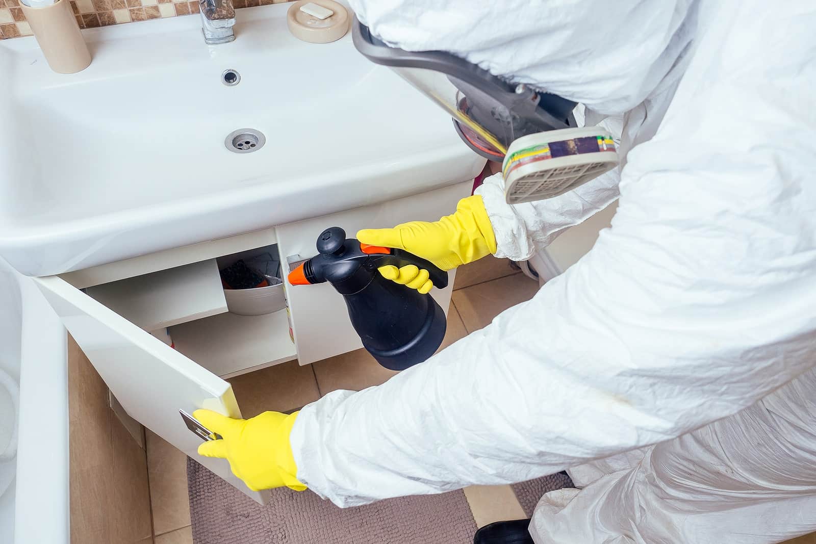 CalPro Pest Control providing silverfish pest control services under bathroom sink in Sacramento, CA.