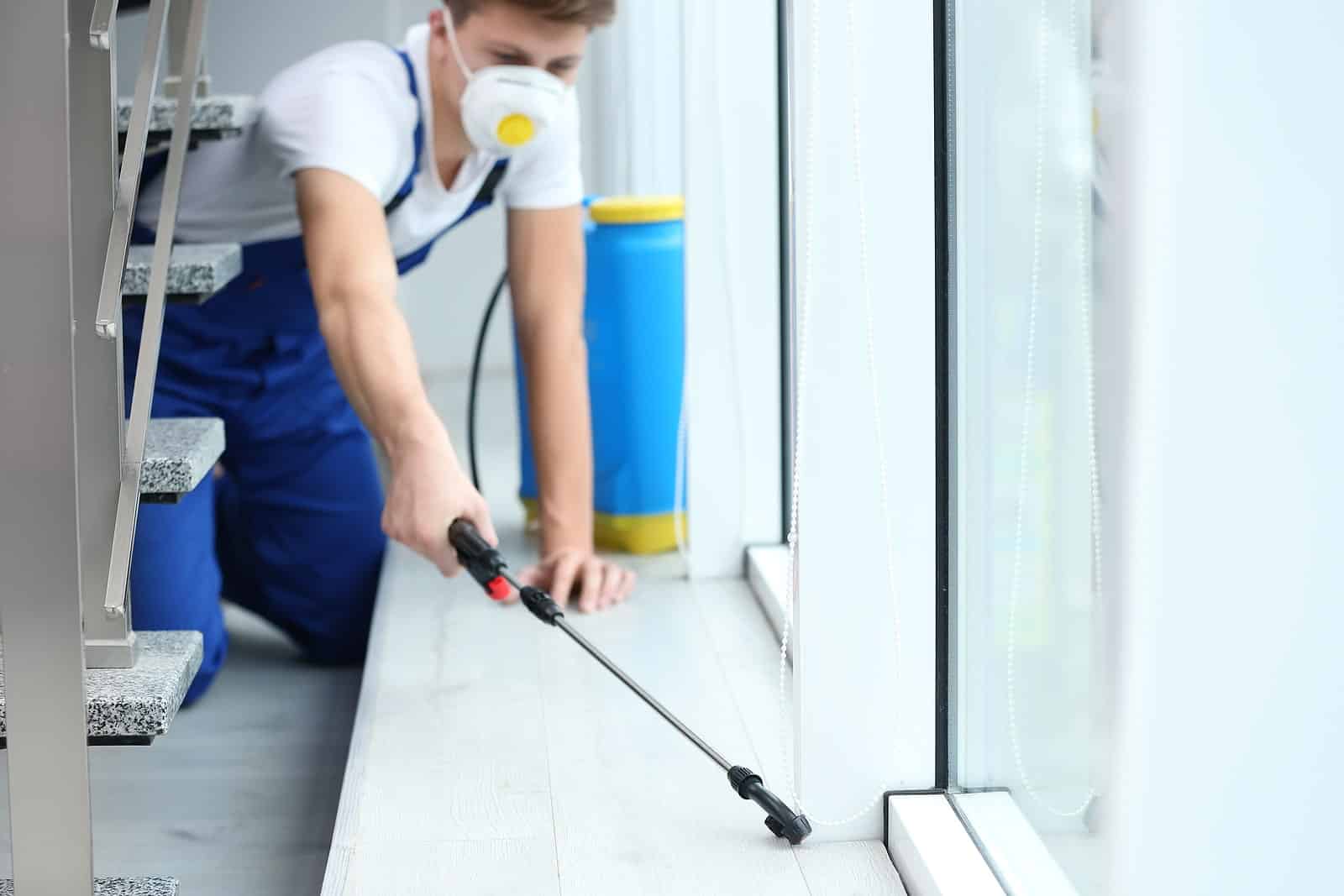 CalPro Pest Control centipede exterminator spraying near window sill in Sacramento, CA.