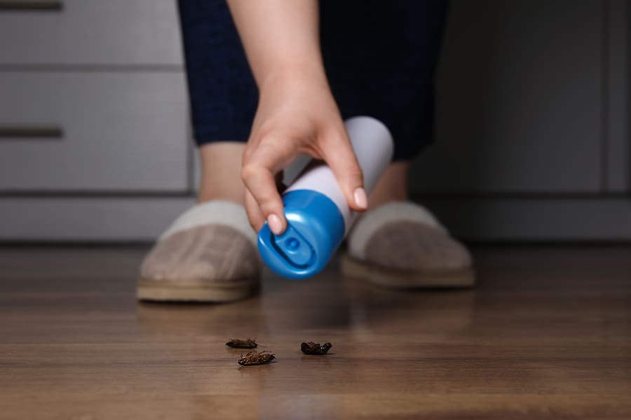 Why DIY Pest Control Often Fails: Benefits of Hiring a Professional