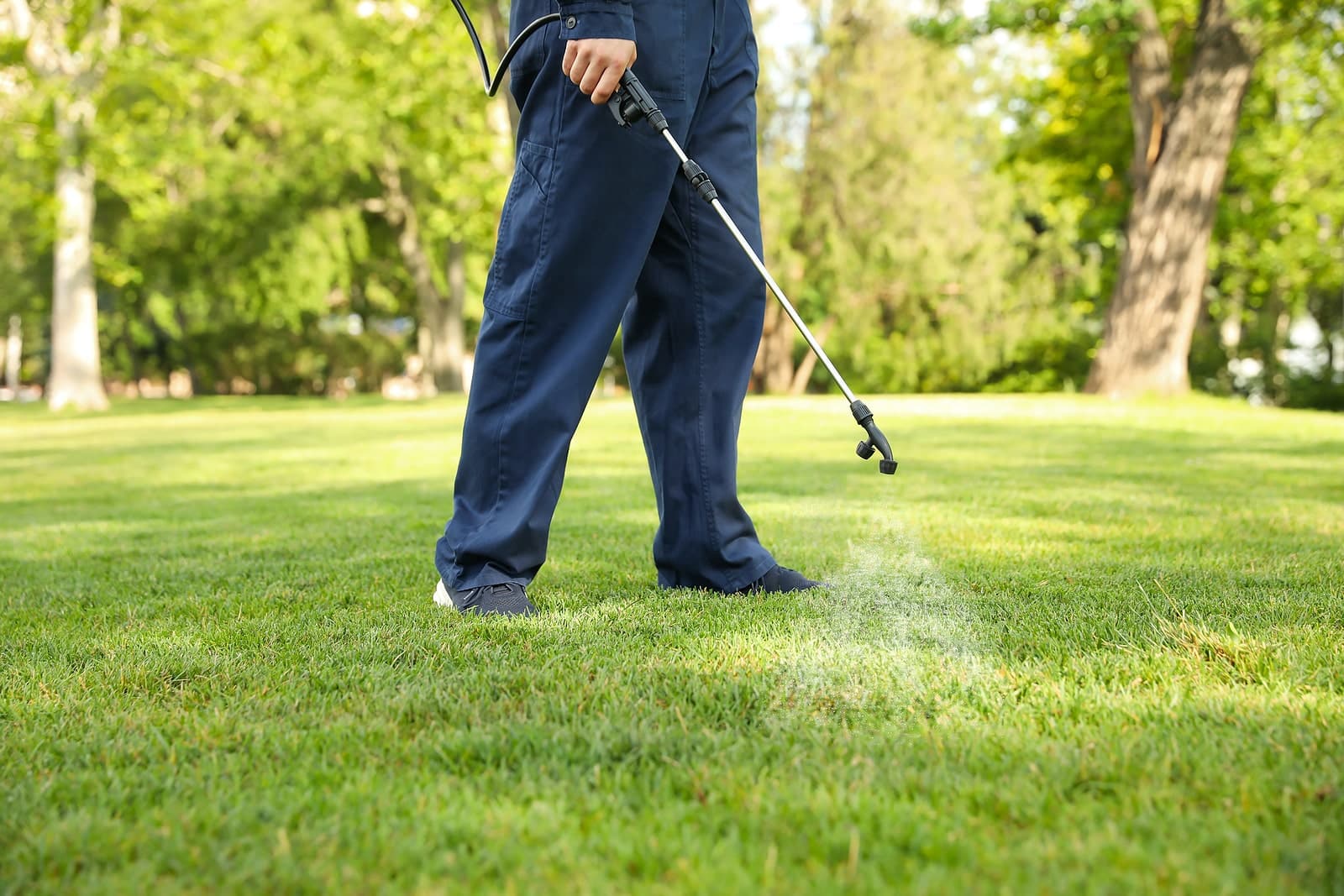 CalPro Pest Control providing lawn pest control services in Sacramento, CA.