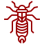Earwigs