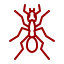 Ants