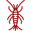 Silverfish