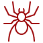 Spiders