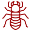 Termites