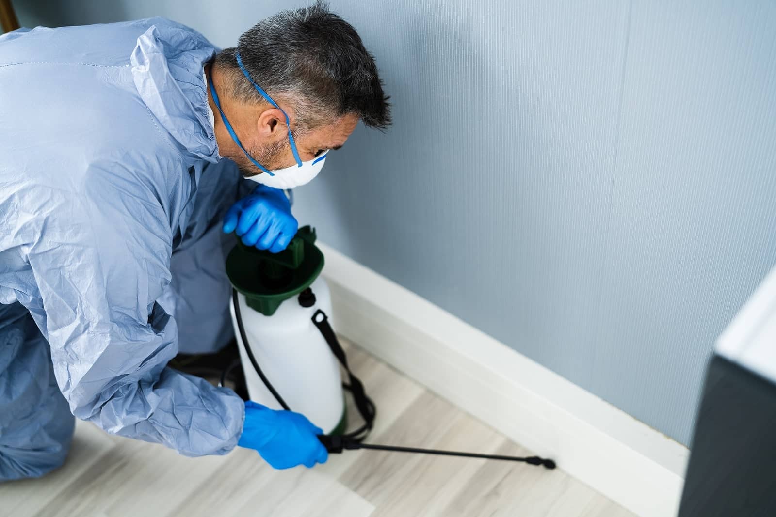 CalPro Pest Control exterminator providing termite treatment services in Sacramento, CA.