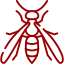 Wasps & Hornets